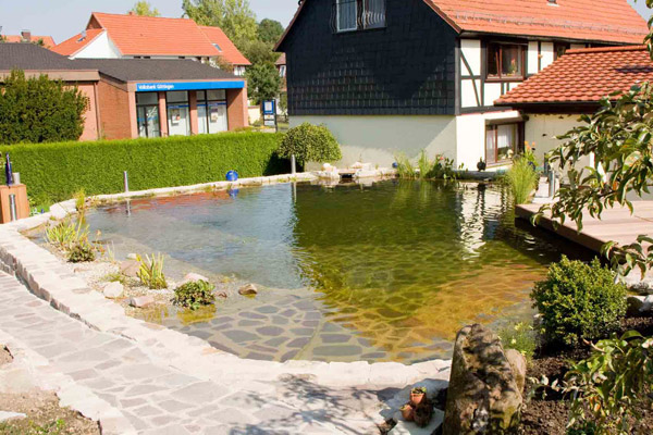 teich