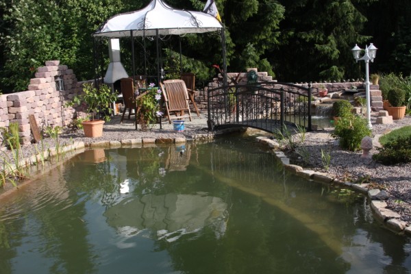 Teich 10