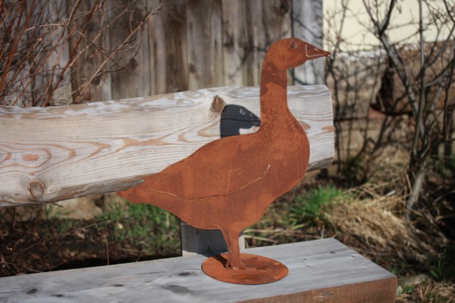 Gans stehend seitlich