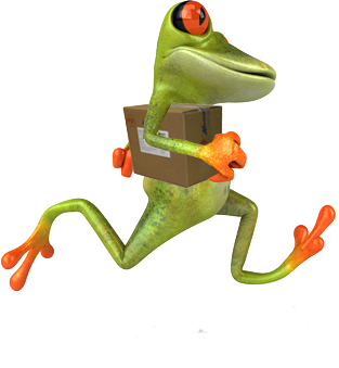 frosch_versand